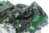 Vibrant Malachite Crystals on Azurite - Mexico #266344-2